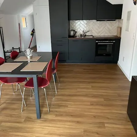 Stilvolle 3,5 Zimmer In 公寓 圣加仑