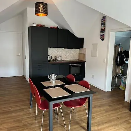 Stilvolle 3,5 Zimmer In 公寓 圣加仑